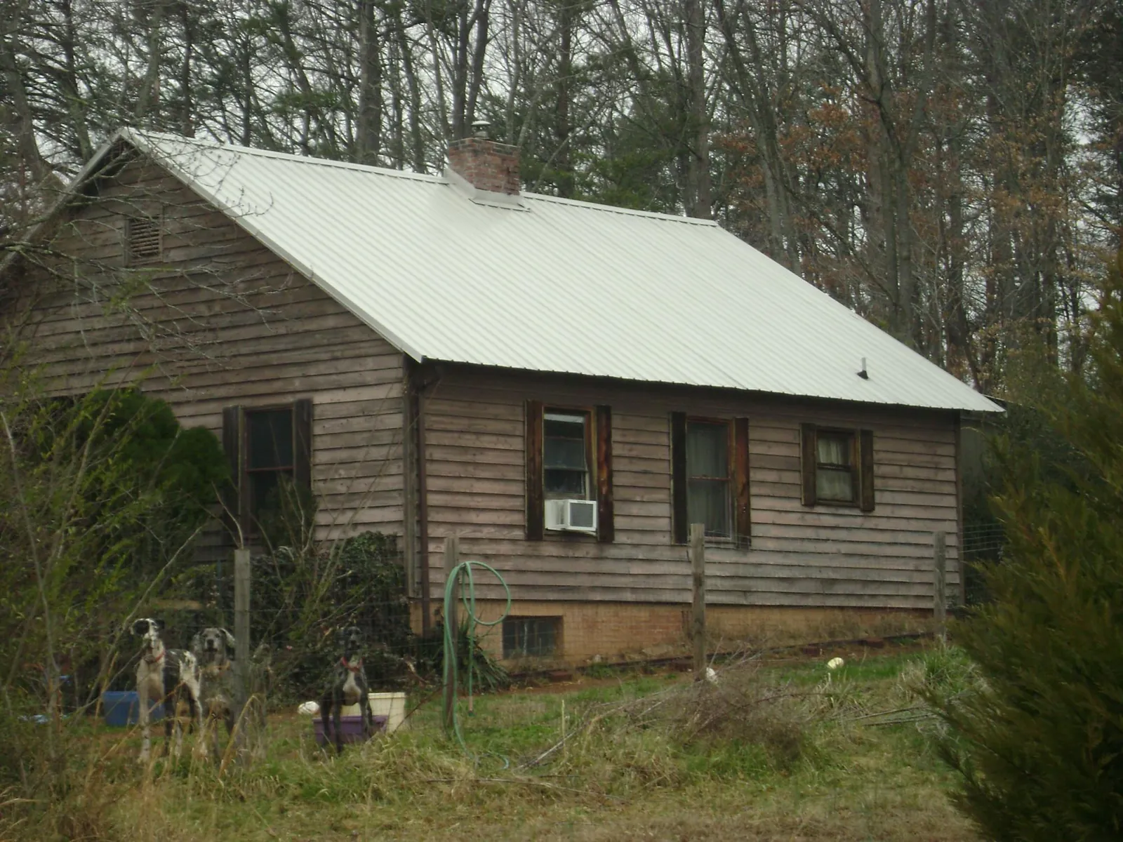 White metal roof on an old wood sided farmhouse, from a Asphalt Shingle Roof Repair job in Agra